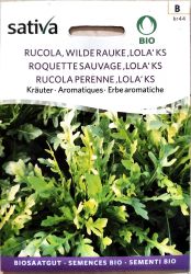 Rocket Perennial Lola KS ORGANIC Herb Seed
